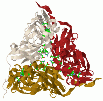 Image Biol.Unit 1 - manually