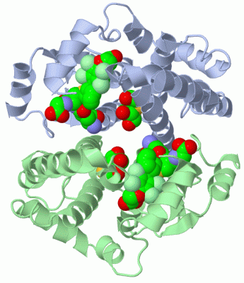 Image Asym./Biol. Unit - manually