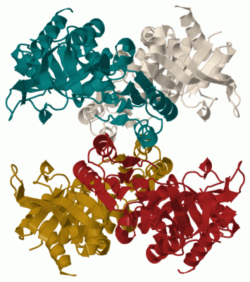 Image Biol.Unit 1 - manually