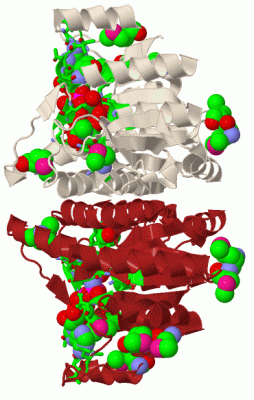 Image Biol.Unit 1 - manually