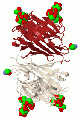 Image Biol.Unit 1 - manually