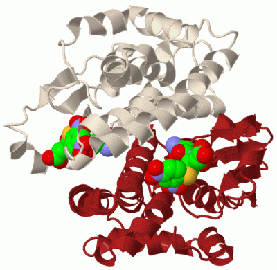 Image Biol.Unit 1 - manually