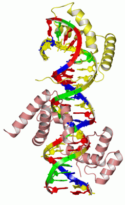 Image Asym./Biol. Unit - manually