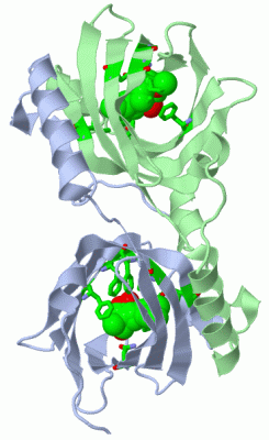 Image Asym./Biol. Unit - manually