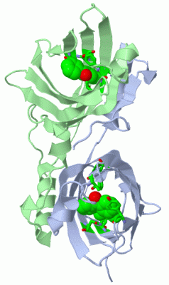 Image Asym./Biol. Unit - manually