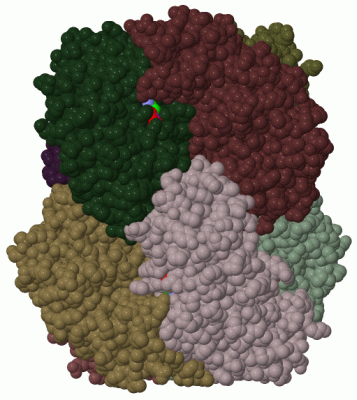 Image Biol.Unit 1 - manually