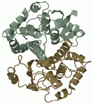 Image Biol.Unit 1 - manually