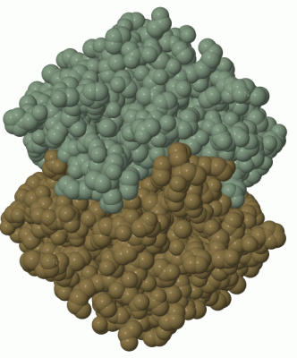 Image Biol.Unit 1 - manually