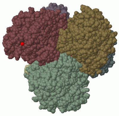 Image Biol.Unit 1 - manually