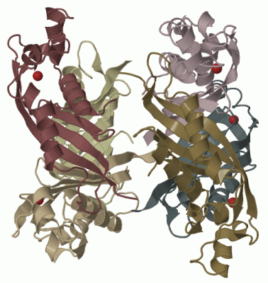 Image Biol.Unit 1 - manually