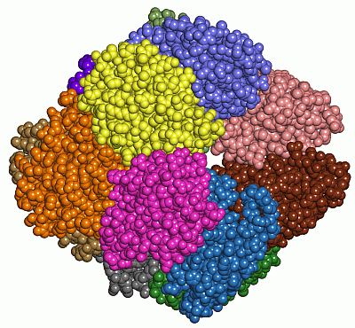 Image Asym./Biol. Unit - manually