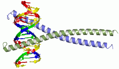 Image Asym./Biol. Unit - manually