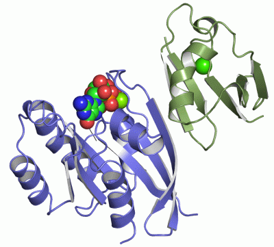 Image Asym./Biol. Unit - manually