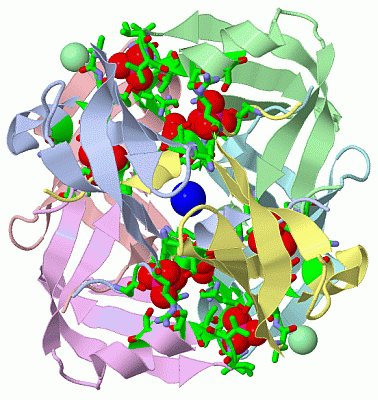 Image Asym.Unit - manually
