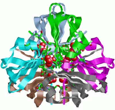 Image Asym.Unit - manually