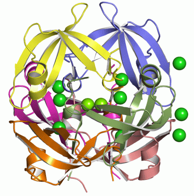Image Asym./Biol. Unit - manually