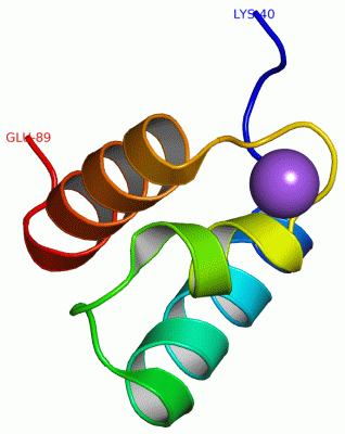 Image Asym./Biol. Unit - manually