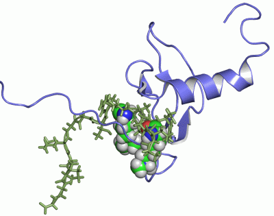 Image NMR Structure - manually