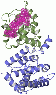 Image Asym./Biol. Unit - manually