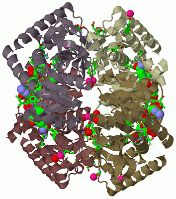 Image Biol.Unit 1 - manually