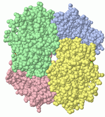 Image Asym./Biol. Unit - manually