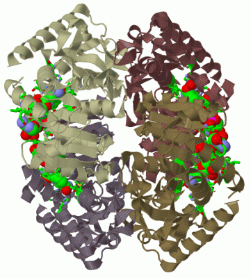 Image Biol.Unit 1 - manually