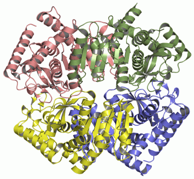 Image Asym./Biol. Unit - manually