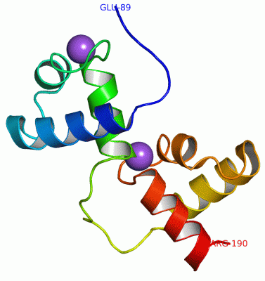 Image Asym./Biol. Unit - manually