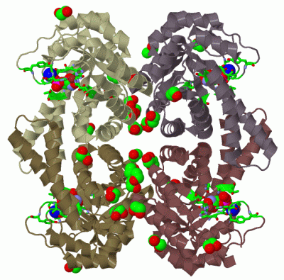 Image Biol.Unit 1 - manually