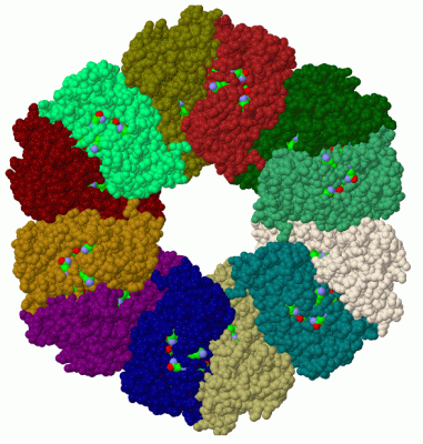 Image Biol.Unit 1 - manually