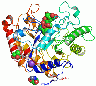 Image Asym./Biol. Unit - manually