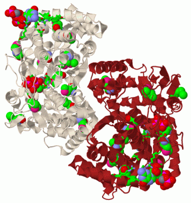 Image Biol.Unit 1 - manually