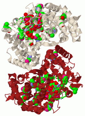 Image Biol.Unit 1 - manually