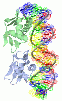 Image Biol.Unit 1 - manually