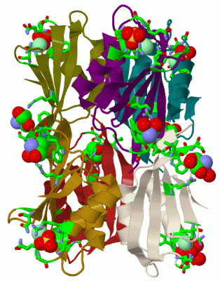 Image Biol.Unit 1 - manually