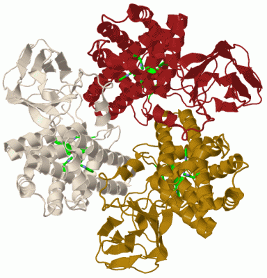 Image Biol.Unit 1 - manually