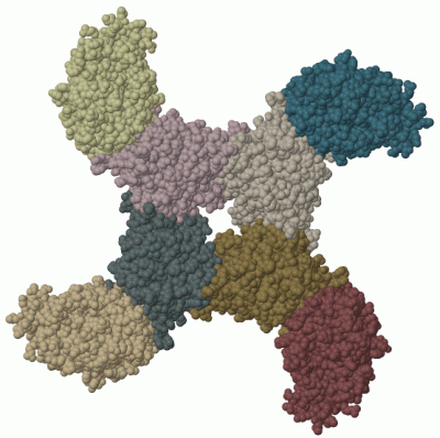 Image Biol.Unit 1 - manually