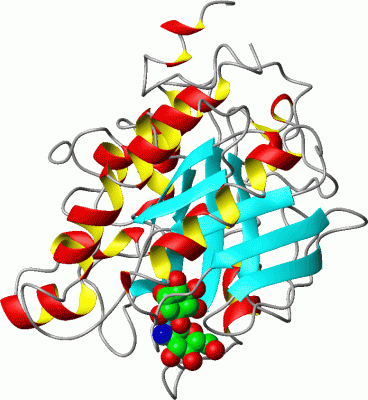 Image Asym./Biol. Unit - manually