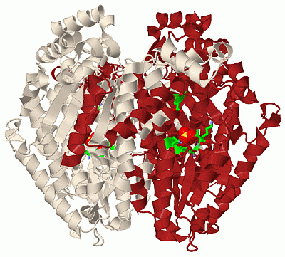 Image Biol.Unit 1 - manually