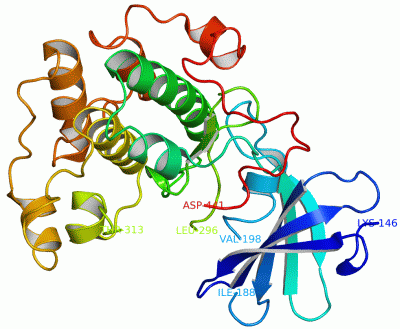 Image Asym./Biol. Unit - manually