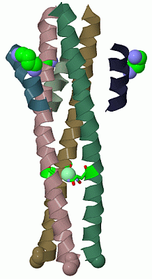 Image Biol.Unit 1 - manually