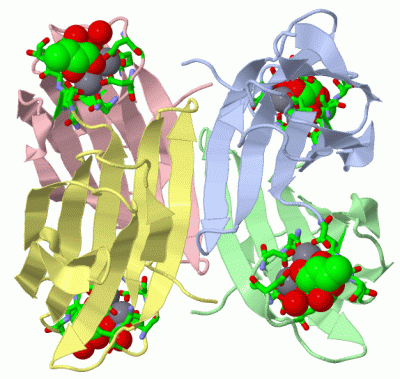 Image Asym./Biol. Unit - manually