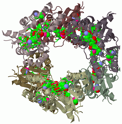 Image Biol.Unit 1 - manually