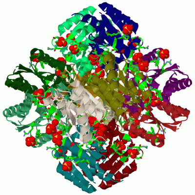 Image Biol.Unit 1 - manually