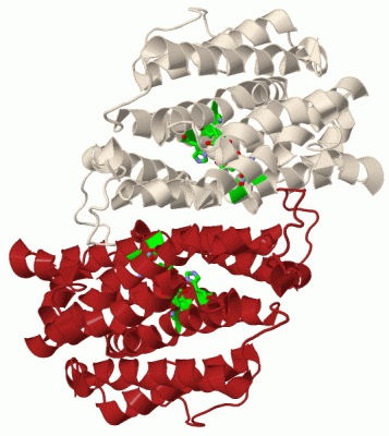 Image Biol.Unit 1 - manually