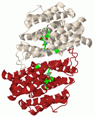 Image Biol.Unit 1 - manually