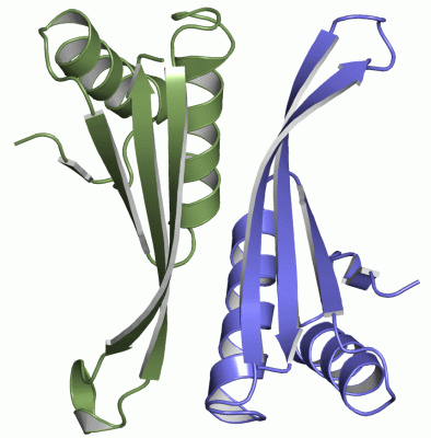 Image Asym./Biol. Unit - manually