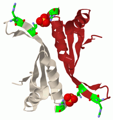 Image Biol.Unit 1 - manually