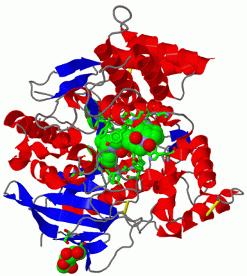 Image Asym./Biol. Unit - manually