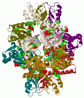 Image Biol.Unit 1 - manually